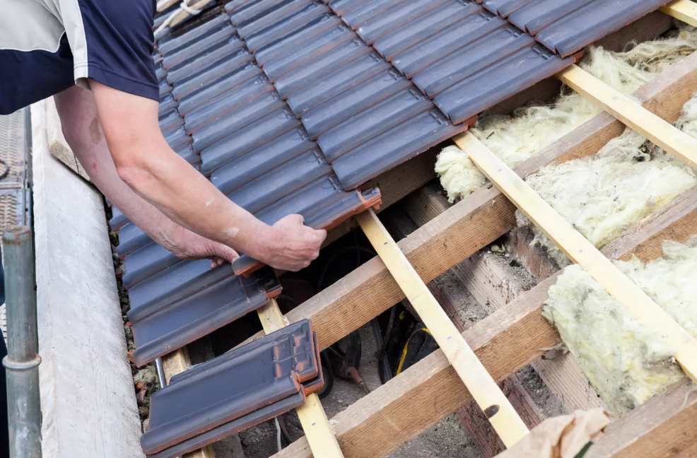 Accueil capture d'écran 2026 02 24 214946